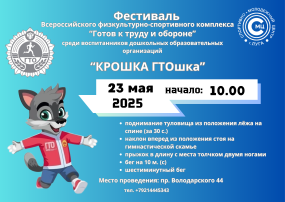 Фестиваль ГТО Фестиваль ГТО.